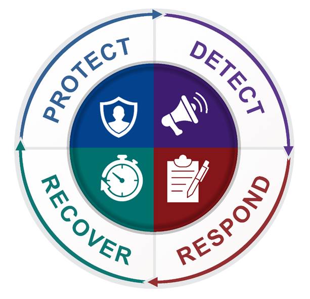 A continuous cycle of protection, detection, response, and recovery is applied to mitigate biosecurity risks. 