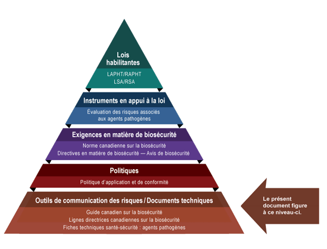 Figure sous la forme d'une pyramide représentant la hiérarchie des documents utilisés par l'ASPC pour superviser les opérations de biosécurité et de biosûreté. Chacun des cinq niveaux de la pyramide correspond à un type de document, dont l'ordre de préséance augmente du bas vers le haut.
Au sommet se trouve la législation habilitante, c'est-à-dire la LAPHT, le RAPHT, la LSA et le RSA, qui transmet les autorités légales à l'ASPC. Au-dessous des lois et des règlements figurent les Instruments à l'appui de la législation, et ceux-ci sont les évaluations des risques associés aux agents pathogènes. La prochaine étape est intitulée les Exigences en matière de biosécurité, notamment la Norme canadienne sur la biosécurité, les Directives en matière de biosécurité et les Avis de biosécurité. Le deuxième niveau du bas est Documents de politique, soit la Politique de conformité et d'application de la loi. Le matériel d'orientation et les pièces techniques trouvés au bas de la pyramide, sous l'en-tête des Outils de communication des risques et documents techniques, visent seulement à résumer les recommandations et les informations scientifiques. Il s'agit notamment du Guide canadien sur la biosécurité, des Lignes directrices canadiennes sur la biosécurité et des Fiches techniques santé-sécurité : agents pathogènes.