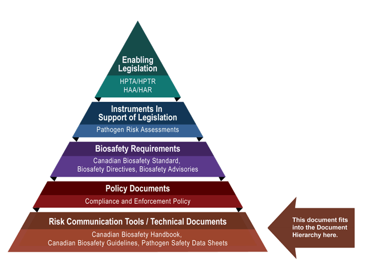 Figure in the form of a pyramid depicting the document hierarchy used by the PHAC to oversee biosafety and biosecurity operations. Each of the five tiers of the pyramid corresponds to a document type, with documents increasing in order of precedence moving upwards.
At the top sits the Enabling Legislation, that is, the HPTA, HPTR, HAA, and HAR, that convey the PHAC's legal authorities. Below the acts and regulations sit Instruments in Support of Legislation, which are the Pathogen Risk Assessments. The next tier down are the Biosafety Requirements, which include the Canadian Biosafety Standard, Biosafety Directives, and Biosafety Advisories. In the second lowest tier are the Policy Documents, which include the Compliance and Enforcement Policy. Guidance material and technical pieces found at the bottom of the pyramid, under the Risk Communication Tools and Technical Documents heading, are intended to summarize recommendations and scientific information only. These include the Canadian Biosafety Handbook, Canadian Biosafety Guidelines, and Pathogen Safety Data Sheets.