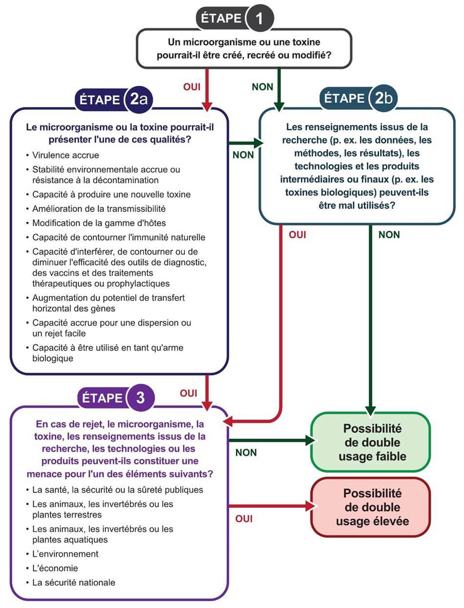 Arbre décisionnel pour évaluer la possibilité de double usage de la recherche en sciences de la vie.
Étape 1 : Un microorganisme ou une toxine pourrait-il être créé, recréé ou modifié? Si oui, passez à l'étape 2a. Si non, passez à l'étape 2b.
Étape 2a : Le microorganisme ou la toxine pourrait-il présenter l'une de ces qualités? Virulence accrue; stabilité environnementale accrue ou résistance à la décontamination; capacité à produire une nouvelle toxine; amélioration de la transmissibilité; modification de la gamme d'hôtes; capacité de contourner l'immunité naturelle; capacité d'interférer, de contourner ou de diminuer l'efficacité des outils de diagnostic, des vaccins et des traitements thérapeutiques ou prophylactiques; augmentation du potentiel de transfert horizontal des gènes; capacité accrue pour une dispersion ou un rejet facile; capacité à être utilisé en tant qu'arme biologique. Si oui, passez à l'étape 3. Si non, passez à l'étape 2b.
Étape 2b : Les renseignements issus de la recherche (p. ex. les données, les méthodes, les résultats), les technologies et les produits intermédiaires ou finaux (p. ex. les toxines biologiques) peuvent-ils être mal utilisés? Si oui, passez à l'étape 3. Si non, la possibilité de double usage est faible.
Étape 3 : En cas de rejet, le microorganisme, la toxine, les renseignements issus de la recherche, les technologies ou les produits peuvent-ils constituer une menace pour l'un des éléments suivants? La santé, la sécurité ou la sûreté publiques; les animaux, les invertébrés ou les plantes terrestres; les animaux, les invertébrés ou les plantes aquatiques; l'environnement; l'économie; la sécurité nationale. Si oui, la possibilité de double usage est élevée. Si non, la possibilité de double usage est faible.